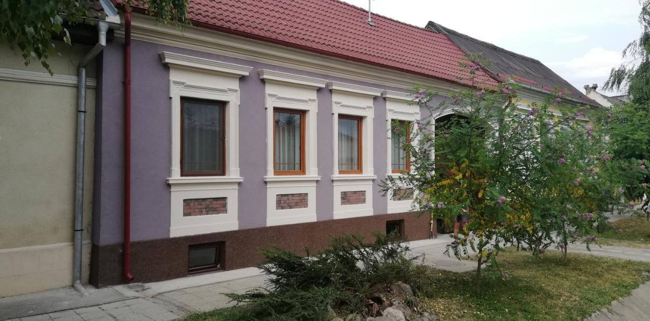 Casa De Vacanta Ayan Hărman Exterior photo